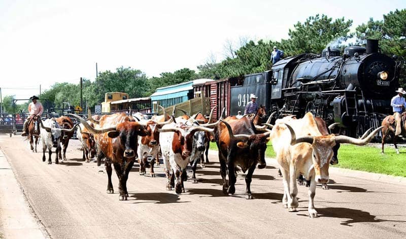 #3415 running during the Abilene Longhorn Cattle Drive.