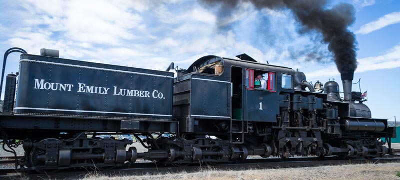 Mount Emily #1 operated for the Mount Emily Lumber Company until 1957. The locomotive was then donated to the Oregon Historical Society.