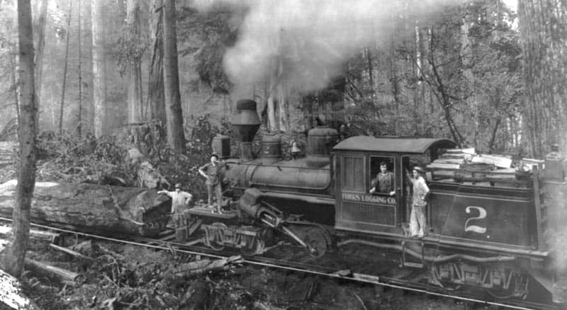 Geared locomotives were an American invention and thousands were built for logging and mining operations. This is a Climax Locomotive Works two truck geared locomotive, seen on the Forks Logging Company in 1907.