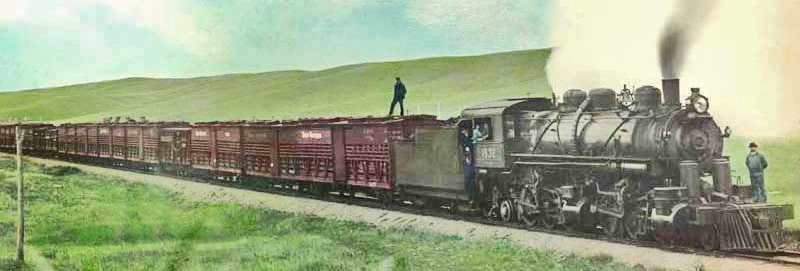 The Great Northern was the first railroad to purchase the 2-6-6-2 configuration. It used the locomotive to haul long trains at slow speeds.